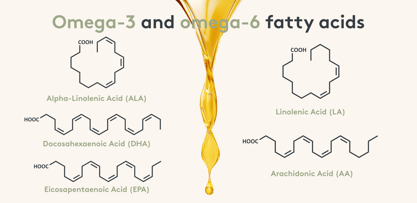 Omega 3 - Omega 6 fettsäuren EN