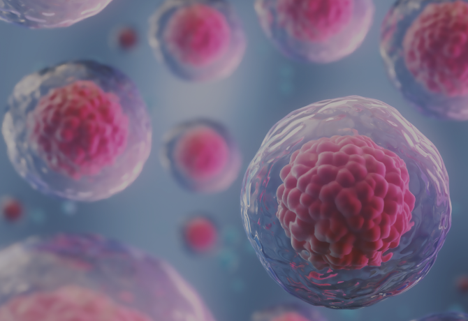 imagen liposomal móvil