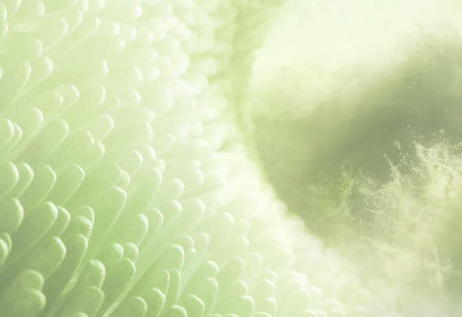 Histamine image mobile