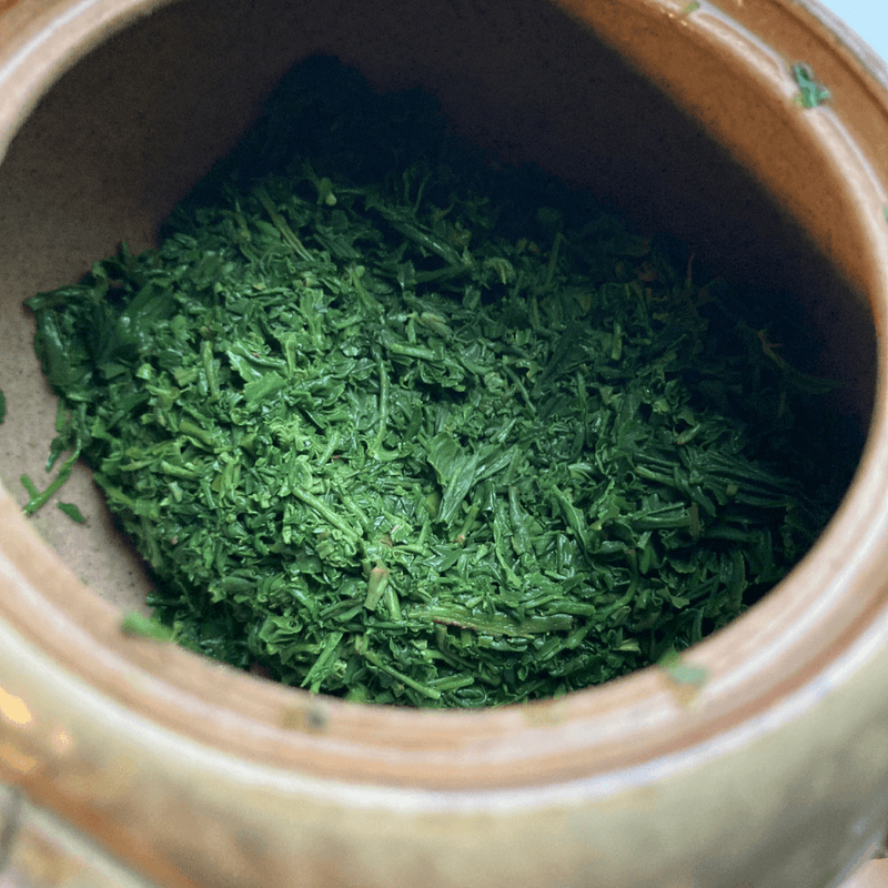 Gyokuro Tee von Arigato Tee