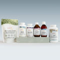 Basic Plus Bundle