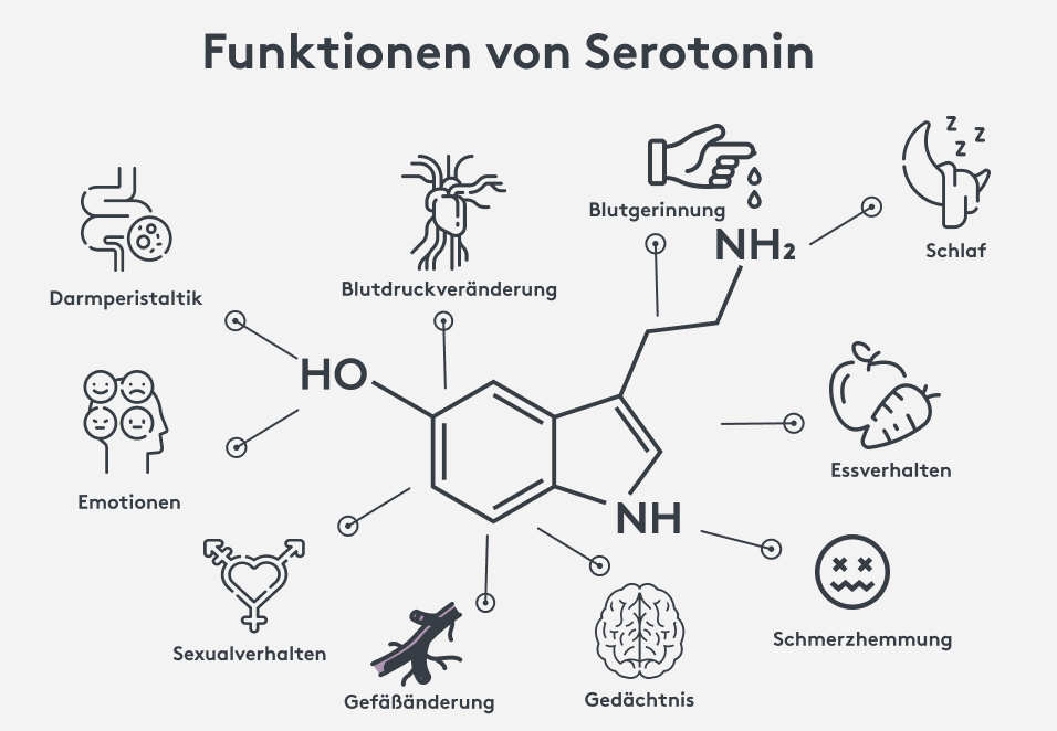 Funktionen von Serotonin im Überblick