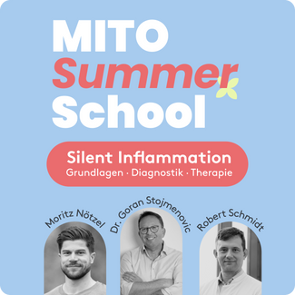 MITO Summer School 2026 - Thema Silent Inflammation