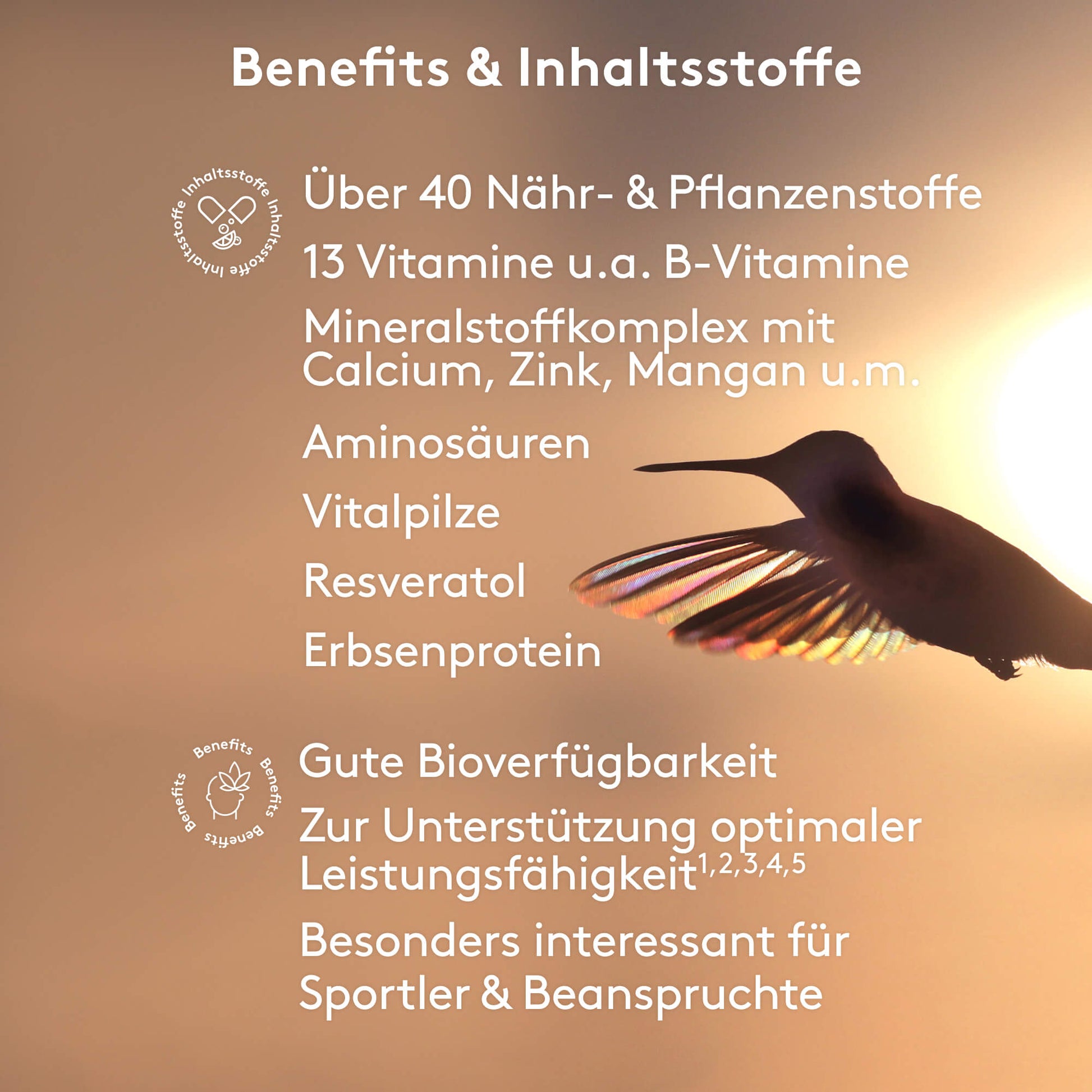Benefits und Inhaltstoffe MITOcare Mitochondrien Formula Sport