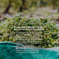 Natives Bio Olivenöl extra