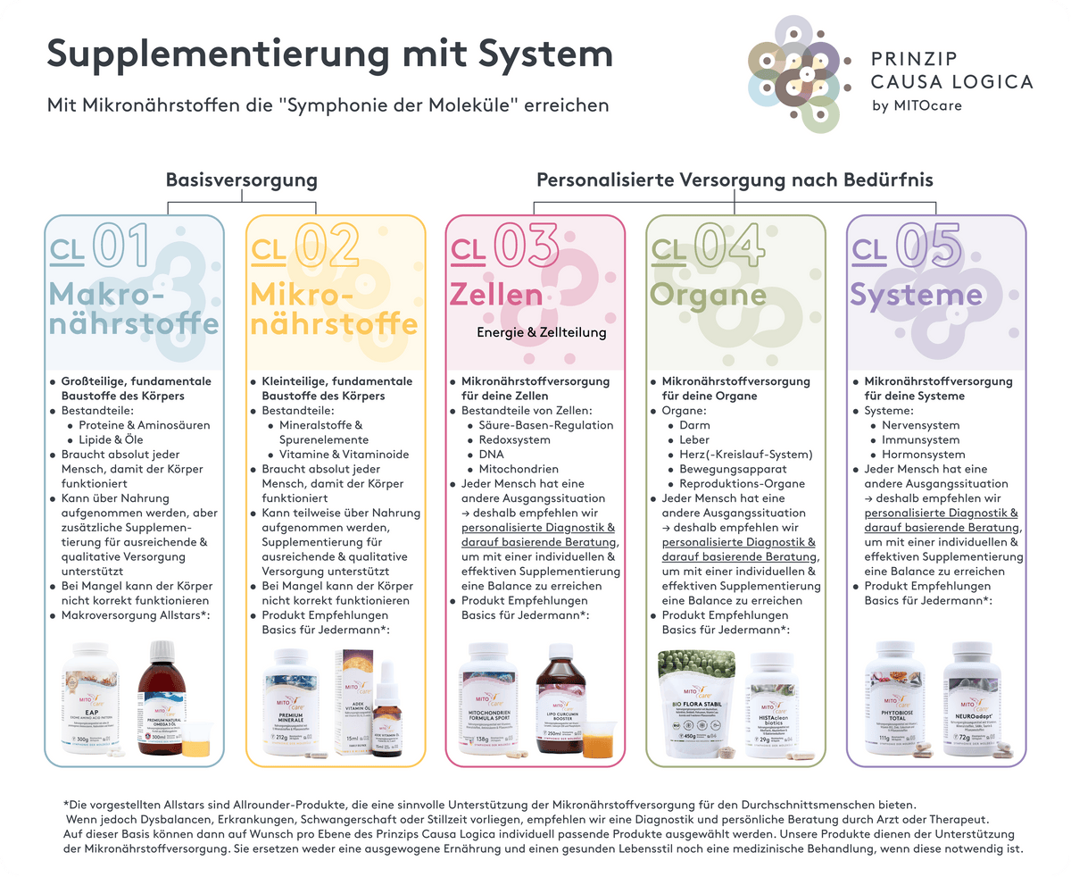 Supplementation with the Causa Logica System, A Simplified Overview