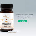 PEA (palmitoylethanolamide)
