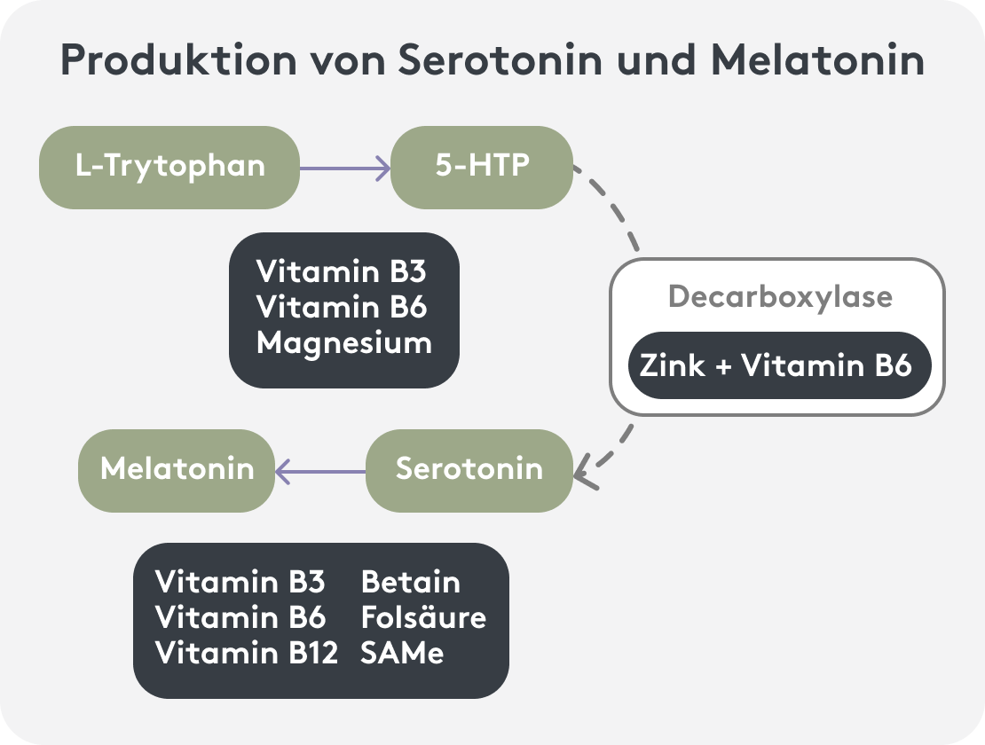 Grafische Darstellung des Produktionsprozesses von Serotonin