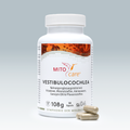Vestibulococlea