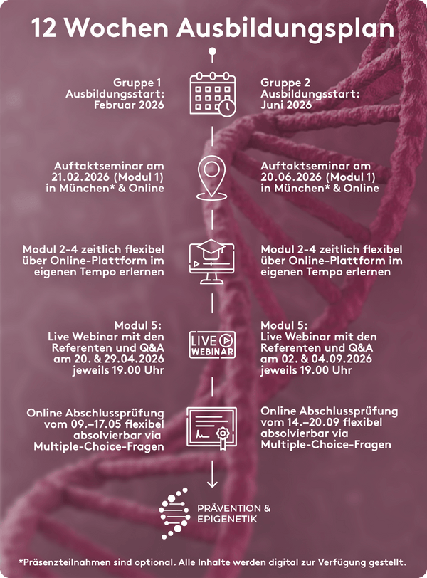 Der Ablauf der Ausbildung im Detail